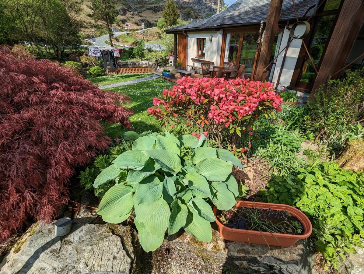 Bryn Elltyd Eco House Casa de hóspedes Blaenau Ffestiniog Exterior foto
