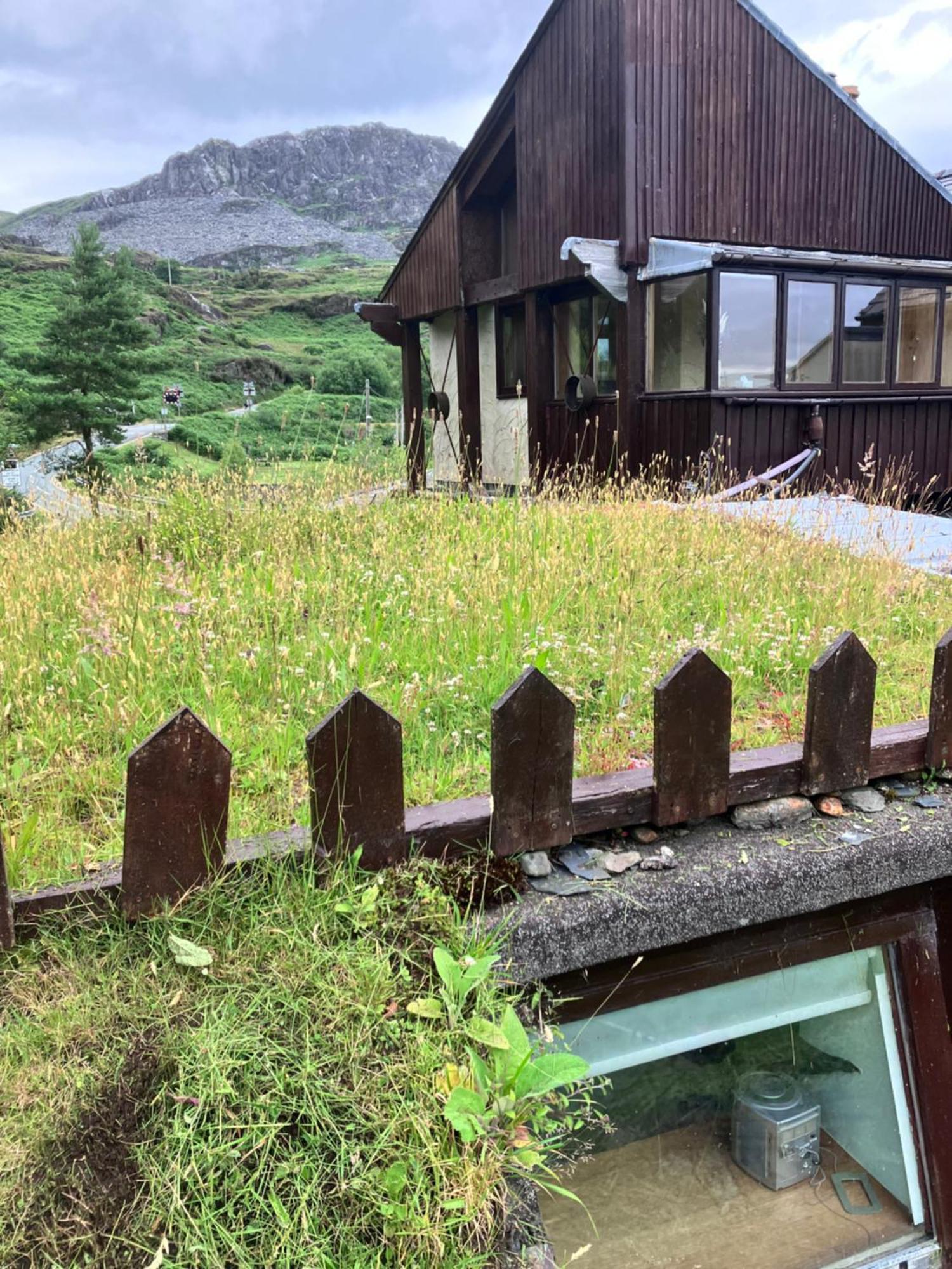 Bryn Elltyd Eco House Casa de hóspedes Blaenau Ffestiniog Exterior foto