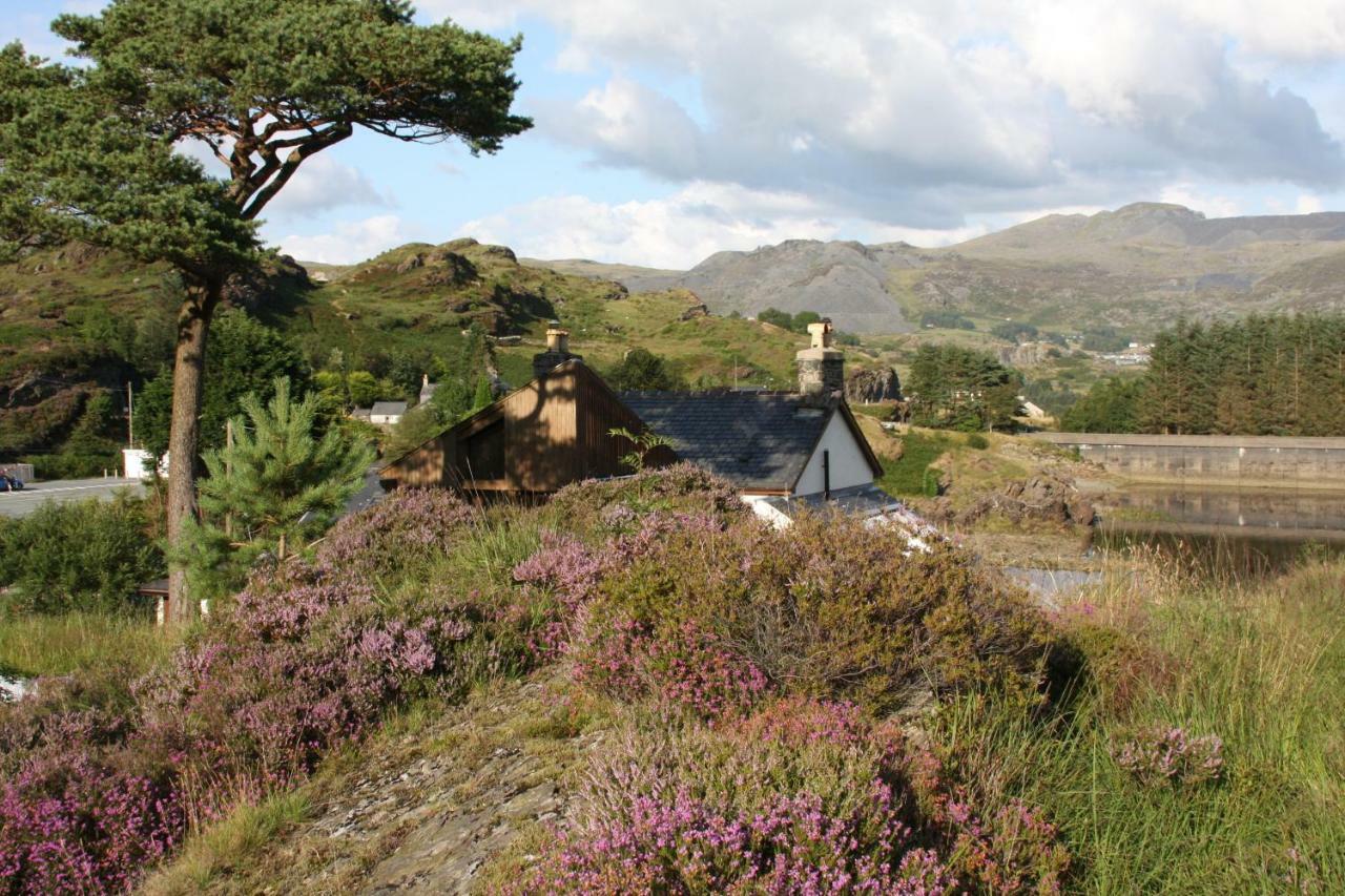Bryn Elltyd Eco House Casa de hóspedes Blaenau Ffestiniog Exterior foto